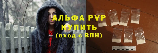 стафф Арсеньев