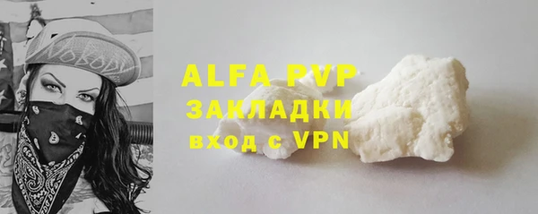 стафф Арсеньев