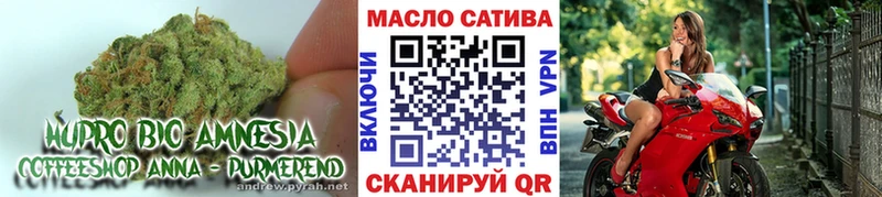 как найти   Туринск  MEGA ссылка  ТГК гашишное масло 