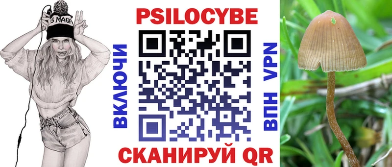 что такое   Туринск  Галлюциногенные грибы Psilocybe 